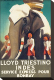 Lloyd Triestino  Indes
