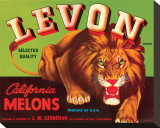 Levon Brand California Melons
