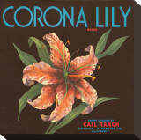 Corona Lily Brand Citrus  California