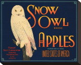 Snow Owl Brand Apples