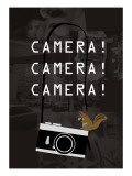 Camera Brown