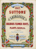 Suttons Autumn Catalogue