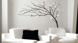 Branches