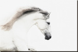 White on White