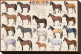 Horses