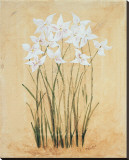 Flower IV