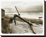 Ancre Sur Plage