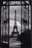 Paris View