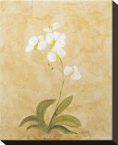 Flower II