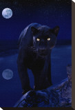 Black Panther in Moonlight