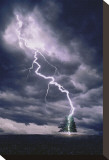 Lightning Striking Tree II