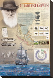 The Genius of Charles Darwin