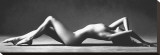 Nude Reclining