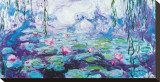 Waterlilies