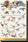 Feathered Dinosaurs II