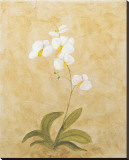 Flower II