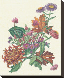 Wild Bouquet III