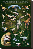 Feathered Dinosaurs I