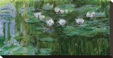 Waterlilies