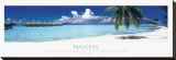 Success