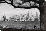 New York Skyline