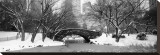 Bridge Stone in Central Park