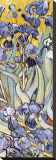 Irises  Saint-Remy  c1889 (detail)