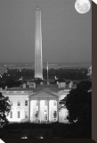 Washington DC
