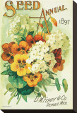 Seed Annual 1897  DM Ferry & Co  Detroit  Michigan