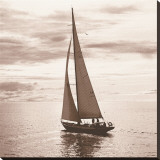 Sailing V