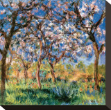 Spring in Giverny