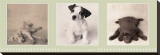 Low-Down Doggy Blues