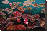 Red Water Lilies