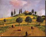Tuscan Hillside