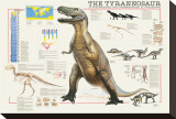 Tyrannosaurus
