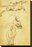 Sketch of a Horse