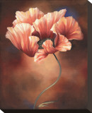 Poppy II