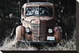 Old Truck in a Field