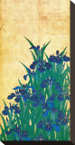Irises  Japanese