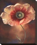 Poppy I