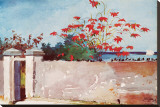 Wall  Nassau  c1898