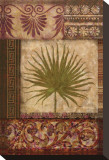 Ornamental Palm I