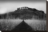 Table Rock Field