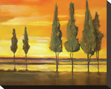 Sunset at Water's Edge