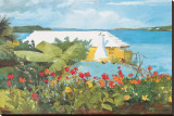 Flower Garden and Bungalow  Bermuda  c1899