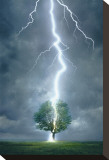 Lightning Striking Tree