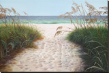 Beach Access