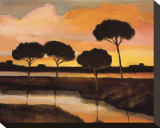 Sunset over the Arno River