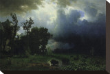 Bison Trail: Approaching Storm