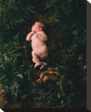 In The Beginning
